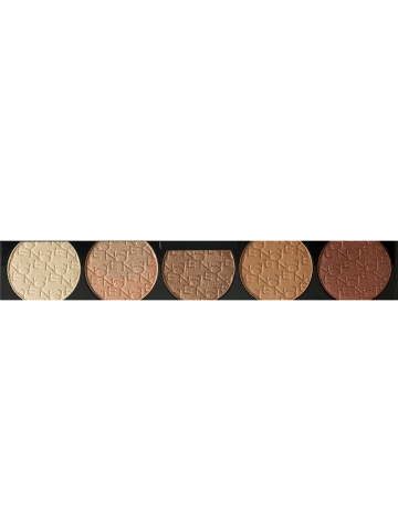 PROFESSIONAL EYESHADOW 106, 5 Culori, 10 g