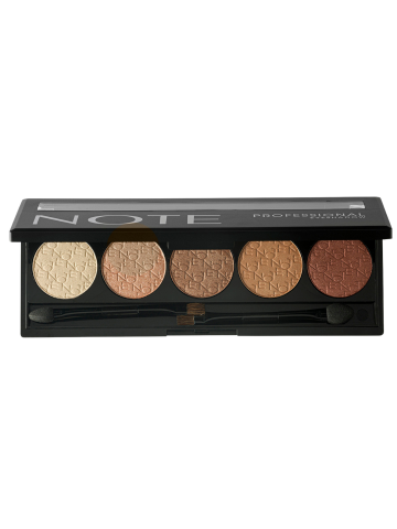 PROFESSIONAL EYESHADOW 106, 5 Culori, 10 g