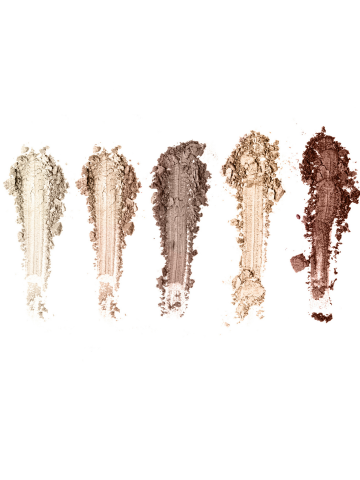 PROFESSIONAL EYESHADOW 106, 5 Culori, 10 g