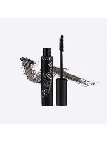 NOTE SCULPT MASTER MASCARA