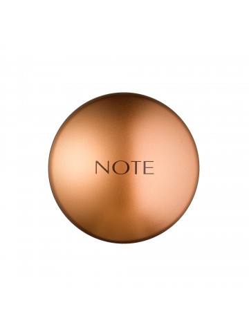 BRONZING POWDER 10